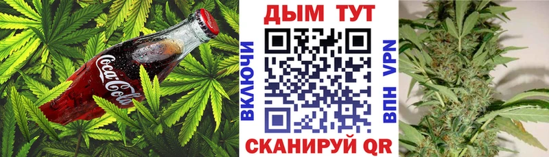 цены Навашино Cannafood конопля