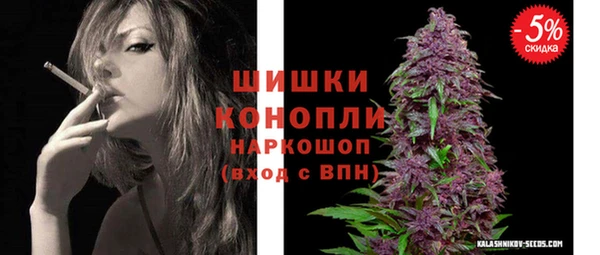 стаф Арсеньев
