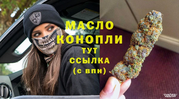 стаф Арсеньев