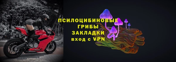 стаф Аркадак