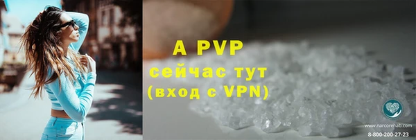 стаф Аркадак