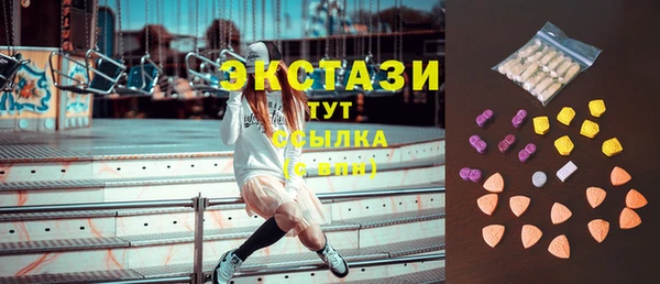 стаф Аркадак
