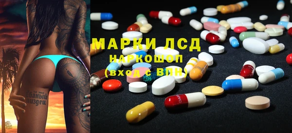 стаф Аркадак