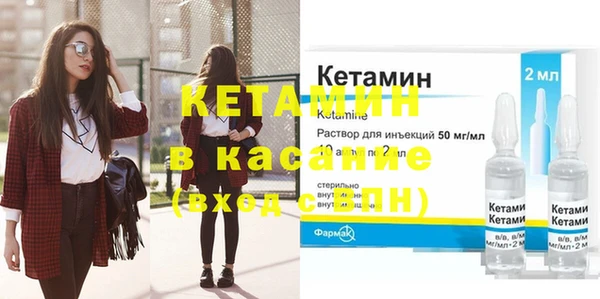 стаф Аркадак