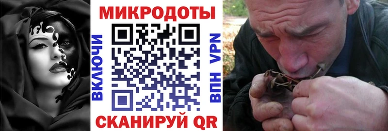 Псилоцибиновые грибы MAGIC MUSHROOMS  мега ССЫЛКА  Навашино 